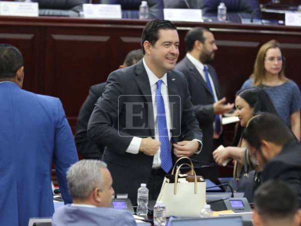 Emilio Hércules, ministro de Finanzas, estuvo presente en la aprobación del presupuesto.