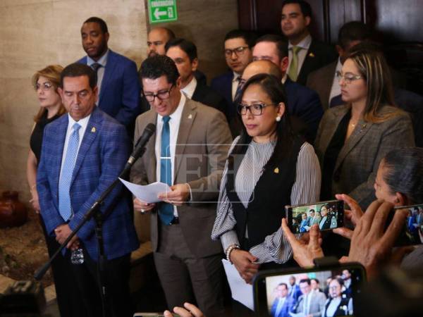 La comisión del Congreso Nacional confirmó la decisión del aspirante al CNE.