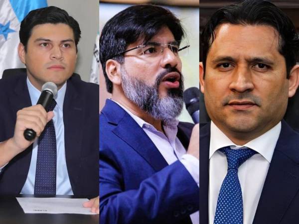 Se pide requerimientos fiscales contra Marlon Ochoa, exconsejero del CNE; Johel Zelaya, exfiscal general del Ministerio Público y Mario Morazán, exmagistrado presidente del TJE, y los demás funcionarios destituidos.