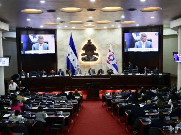 El Legislativo ratifica de forma temporal las presidencias del CNE y TJE mientras resuelve los nombramientos. Las normas regirán dos meses.