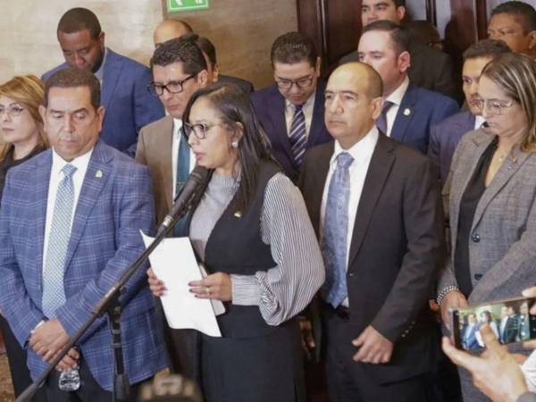 Una comisión especial del Congreso lidera el proceso para elegir a los nuevos funcionarios que ocuparán los cargos vacantes en los organismos electorales.