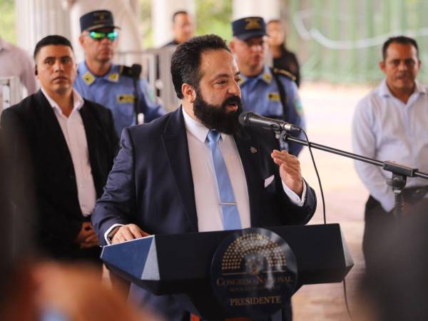 Luis Redondo fue cuestionado durante la sesión extraordinaria del Consejo Permanente de la OEA.