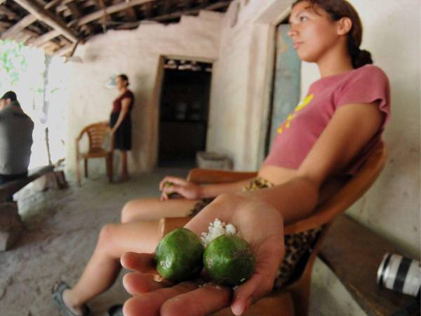 Algunos niños buscan ciruelas en los árboles para calmar el hambre.