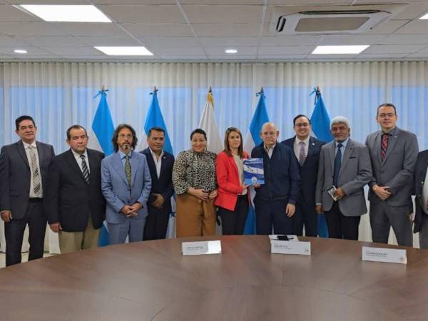 El pleno de consejeros del Consejo Nacional Electoral (CNE) conoció la propuesta de reforma a la Ley Electoral presentada por una comitiva de exautoridades del antiguo TNE, TSE y CNE el 23 de julio de 2026.