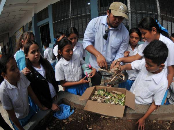 ¡Pequeños campeones por el planeta! Estudiantes comprometidos de la Semana 2 del proyecto Escuelas Amigables con el Ambiente exhiben con orgullo su recolección de residuos orgánicos para elaborar su propio compostaje escolar.