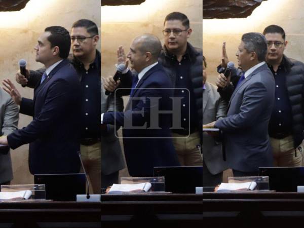 El presidente, vicepresidente y el secretario de la junta directiva provisional fueron juramentados en el hemiciclo.
