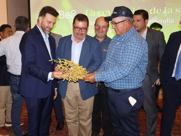 El titular de la Secretaría de Agricultura y Ganadería (SAG) junto a los inversionistas brasileños y representantes del sector productivo y empresarial de Honduras al conocer la iniciativa.