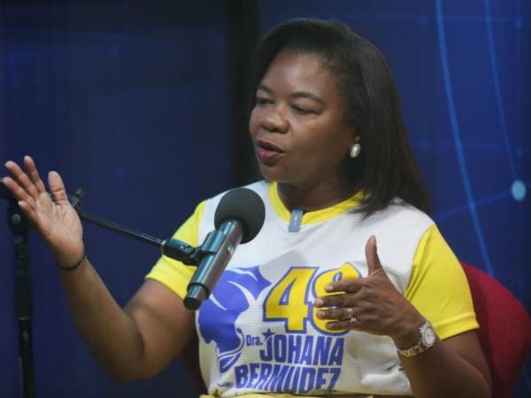 Bermúdez aspira a su tercer período en el Congreso Nacional.