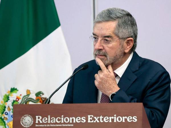 De la Fuente, de 75 años, asumió la posición en 2024 en la Administración de la presidenta Claudia Sheinbaum.