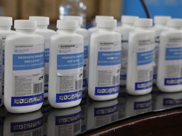 La FAO promueve el enfoque “Una sola salud”, que integra la salud animal, humana, vegetal y ambiental.