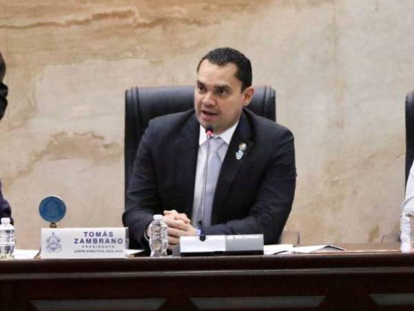El presidente del Congreso Nacional, informó que ya se tienen los consensos con todas las bancadas para aprobar las reformas eléctricas.