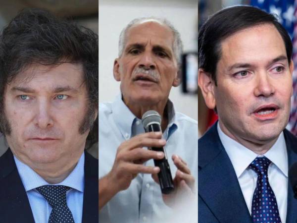 En un comunicado en conjunto, los países de: Costa Rica, Bolivia, Ecuador, Panamá, Paraguay, Perú y República Dominicana, también reaccionaron a la declaratoria realizada por el CNE.