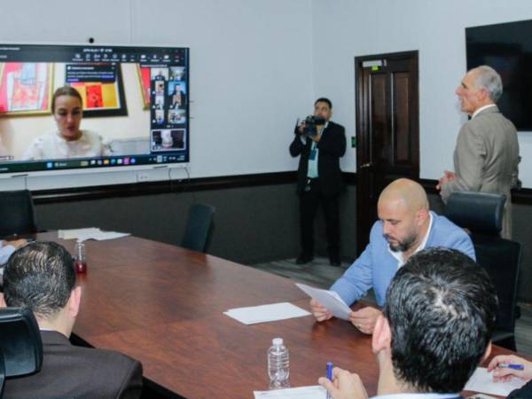 La ofician fue creada mediante la aprobación del decreto ejecutivo PCM-006-2026.