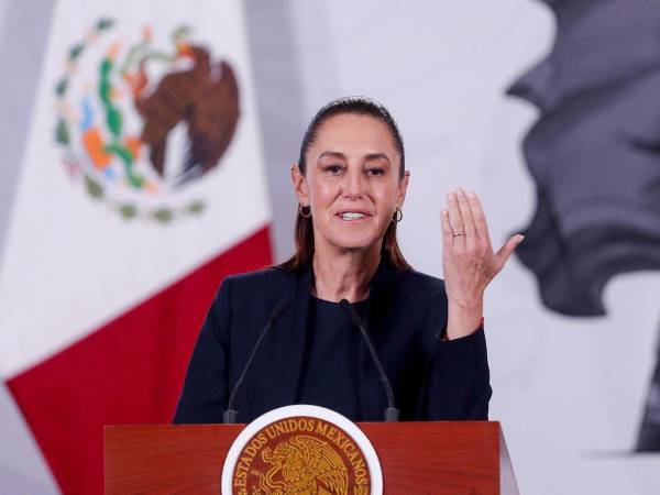 Como persona, pues ya veré si hacemos una aportación, ya lo informaré, mencionó la mandataria en la mañanera.