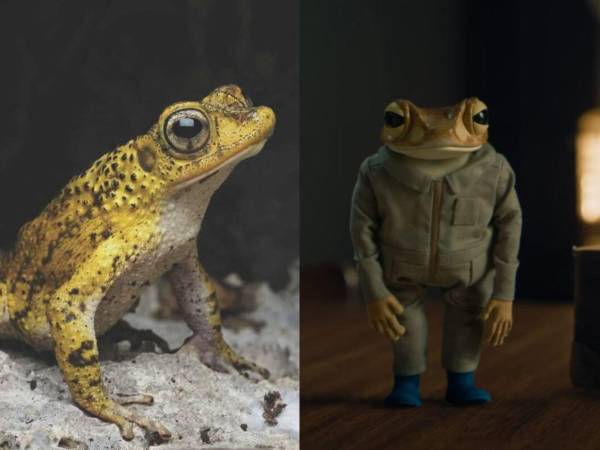 El reciente lanzamiento de “Debí tirar más fotos”, el esperado álbum de Bad Bunny, ha generado un impacto significativo tanto en la industria musical como entre sus millones de seguidores.