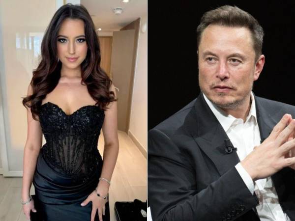 Elon Musk anunció su intención de solicitar la custodia completa de Romulus, su hijo de un año con Ashley St. Clair., de 27 años.