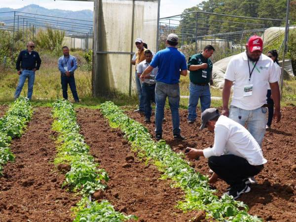 Uno de los principales objetivos del encuentro de expertos internacionales será mejorar la producción de los diferentes rubros en Honduras.