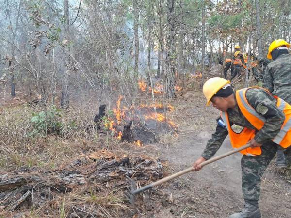 Las Fuerzas Armadas de Honduras (FF AA) participaron durante el fin de semana en el combate y control de al menos nueve incendios forestales registrados en diferentes regiones del país, informaron autoridades.