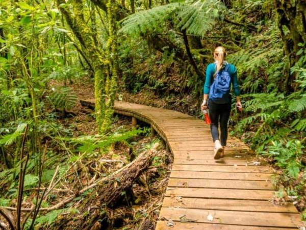 El Distrito Central y sus alrededores se convierten en el punto de partida perfecto para vivir una Semana Santa diferente, donde la naturaleza, la cultura y la aventura se combinan para ofrecer múltiples planes cerca de la ciudad. Los alrededores de la capital invitan a disfrutar los días de descanso con paisajes, tradición y experiencias memorables sin necesidad de viajar lejos.