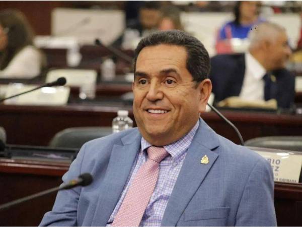 Una revisión de la Ley Orgánica del Poder Legislativo y la Ley Electoral muestra que la normativa hondureña sí regula plazos para las comisiones legislativas, pero no fija un plazo fatal.