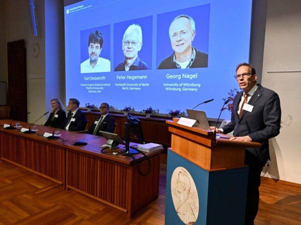 Los galardonados con el Nobel de Medicina o Fisiología 2026 fueron el estadounidense Karl Deisseroth y los alemanes Peter Hegemann y Georg Nagel.