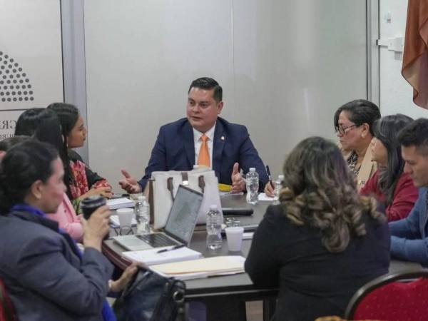 El presidente de la comisión especial, el diputado del Partido Nacional, Arnold Burgos, brindó detalles de las reuniones.