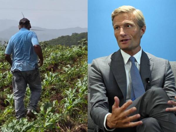 El fenómeno de El Niño amenaza con asestar un golpe duro a la seguridad alimentaria en Centroamérica, aseguró Carl Skau, director ejecutivo interino del Programa Mundial de Alimentos.