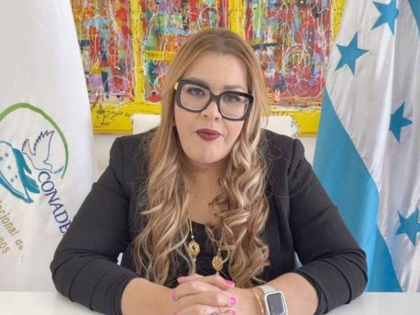 El Comisionado Nacional de los Derechos Humanos (Conadeh) afirmó que su labor en las elecciones generales del próximo 30 de noviembre será como observador electoral.