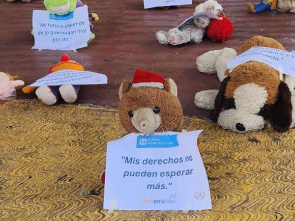 Entre las carencias que más denuncias reciben están: el trabajo infantil, abuso sexual, muertes violentas y migración forzada;