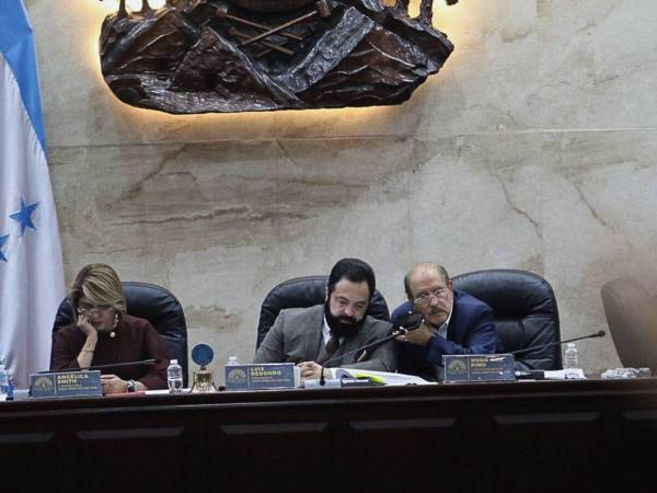 Todas las peticiones de aprobaciones de proyectos sociales fueron autorizadas para ejecutar por parte del presidente del Congreso Nacional, Luis Redondo.