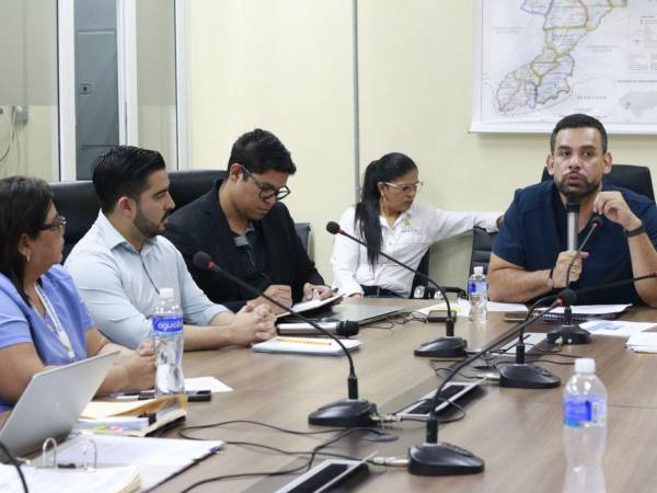 El viceministro Eduardo Midence acordó instalar una mesa técnica el 18 de septiembre, en la cual se revisará cada uno de los casos de enfermeras profesionales despedidas.