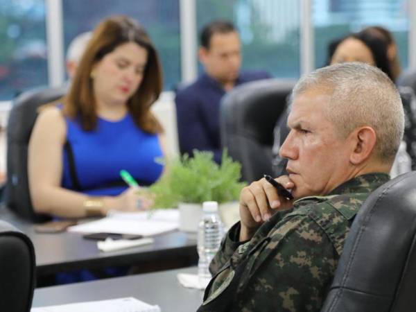 El jefe de las Fuerzas Armadas (FF AA), Roosevelt Hernández, genera descontento al señalar de traidores a un grupo de sus subalternos, mientras mantiene tensión con la consejera