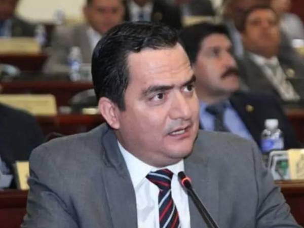 Una licitación de corto plazo es urgente para bajar precios en este momento, pero me da pesar que no se pueda montar la licitación de largo plazo, planificada para los próximos 10 años, manifestó Pérez.