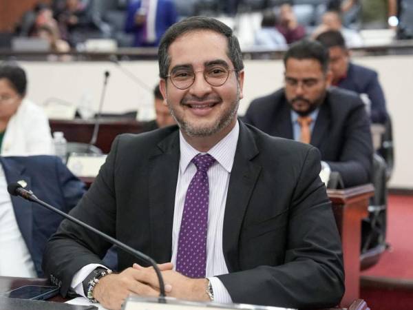El diputado, Marco Midence, propuso esta ley para evitar crisis alimentarias en el país.