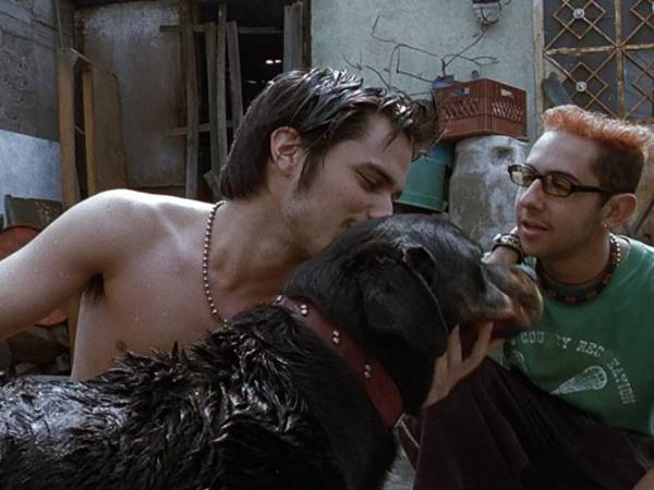 Amores perros fue un parteaguas en el cine mexicano del siglo XX.