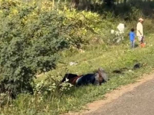 Omar Rivera fue asesinado a balazos cuando se dirigía a Tegucigalpa en busca de trabajo.