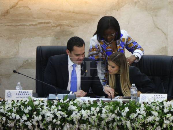 Durante la primera sesión del Congreso Nacional se crearon cinco nuevas comisiones.