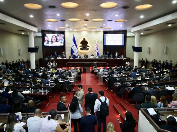 La iniciativa fue presentada durante la sesión del lunes 24 de agosto.