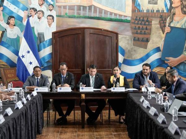 Una mesa conformada por el Poder Legislativo y distintas instituciones analiza conflictos por tierras y agua en zonas vulnerables para crear una ley que concilie producción agrícola y ambiente.