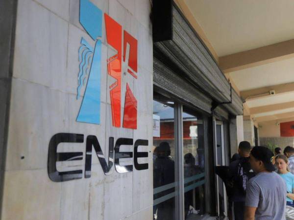 Los pagos se realizarán a 534 propietarios de terrenos en 21 municipios de varios departamentos.