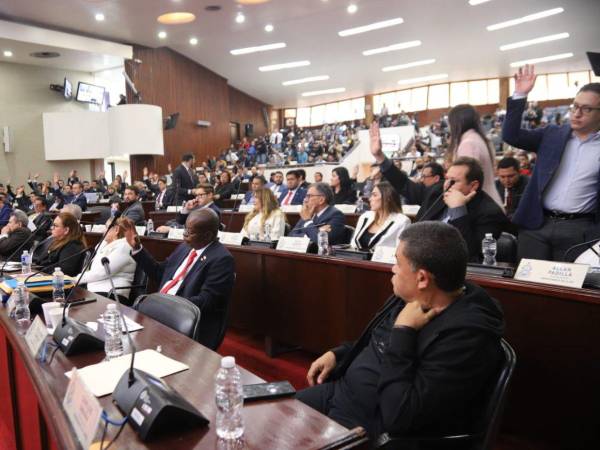 La bancada del Partido Liberal en el Congreso Nacional está conformada por 41 diputados.