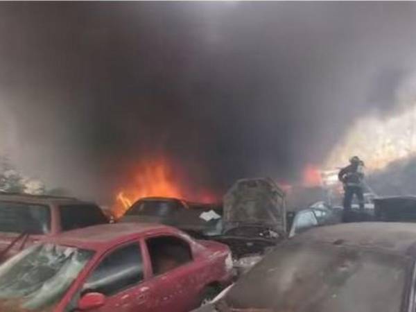 Elementos del Cuerpo de Bomberos acudieron al lugar para controlar las llamas y evitar que el fuego se propagara a áreas cercanas.