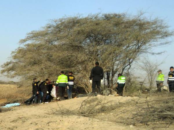 La aeronave se estrelló cerca de las Líneas de Nazca en el sur de Perú, falleciendo ciudadanos de ese país y otros de origen extranjero.