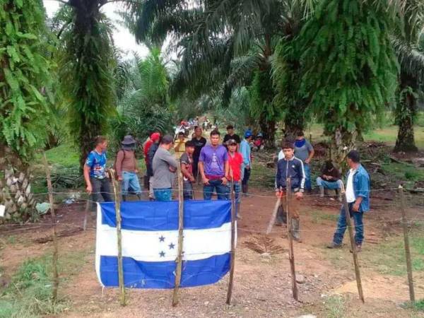 La ley busca dar seguridad jurídica a inversiones, tierras y propiedades destinadas a la producción, en medio de conflictos por ocupaciones de terrenos.