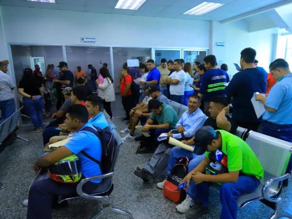 Cientos de ciudadanos acuden diariamente a la Dirección Nacional de Vialidad y Transporte (DNVT) para realizar diversos trámites vehiculares y de licencias.