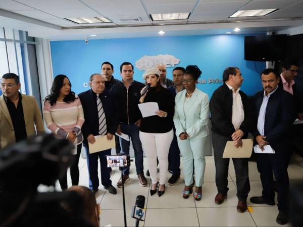 Según el comunicado conjunto emitido por las comisiones especiales, los consensos alcanzados se sustentan en reformas constitucionales y legales vinculadas a la Ley Electoral y la Ley Orgánica del Congreso Nacional.