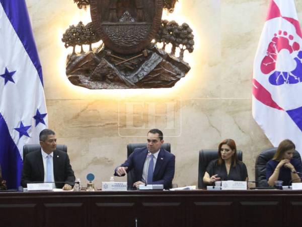 Durante la sesión de este martes se propuso analizar el tema de los impuestos en los combustibles.