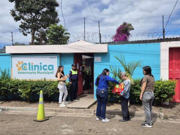 Mascotas reciben atención básica en la veterinaria municipal del Distrito Central, que cuenta con vacunación, desparasitación y esterilización