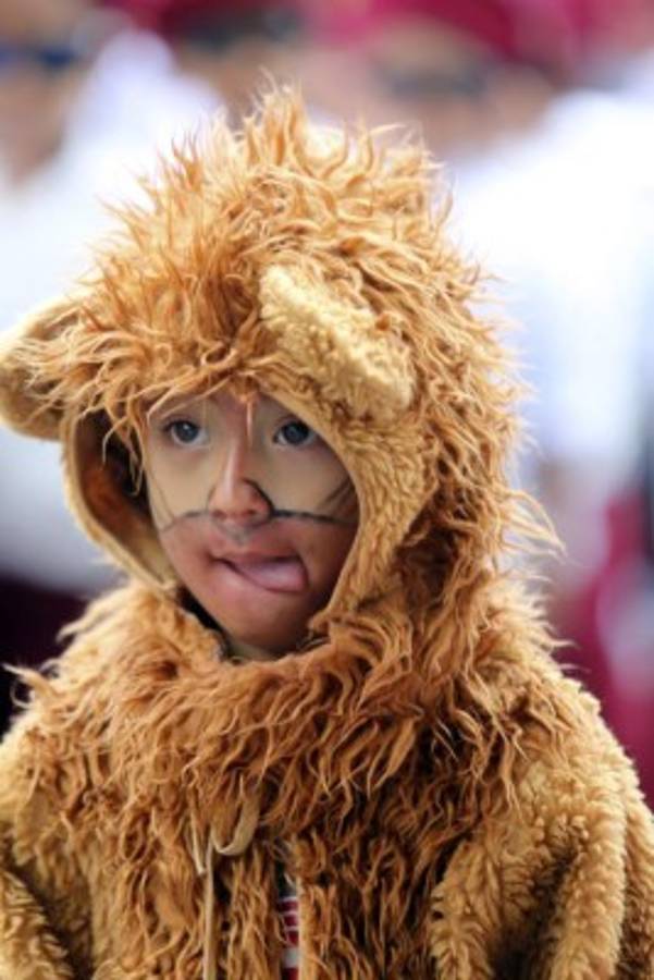 VIDEO: Tributo a la bella Honduras