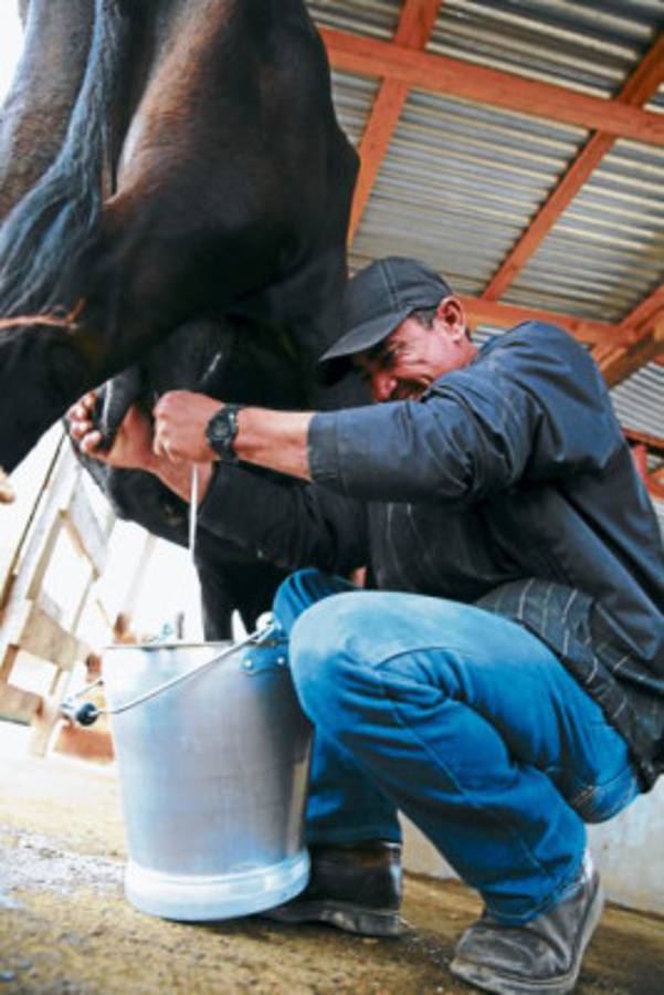 El agua bendita que baña Morocelí